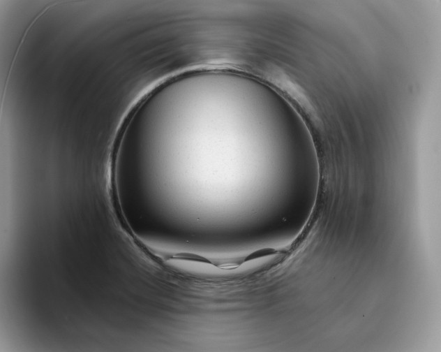 X0000094191420200711091152