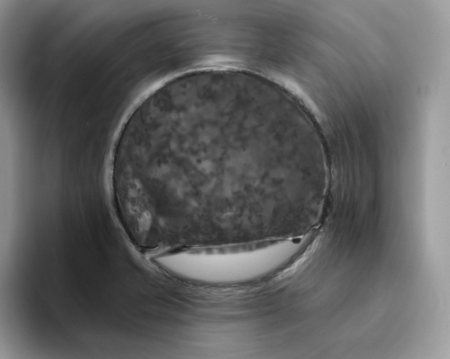 X0000094191421200711091152