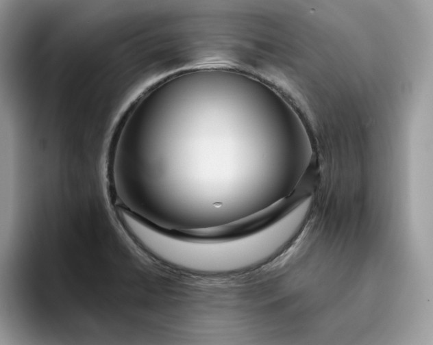 X0000094191422200711091152