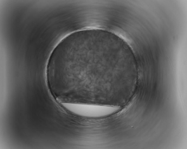 X0000094191423200711091152