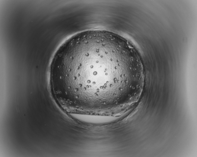 X0000094191424200711091152