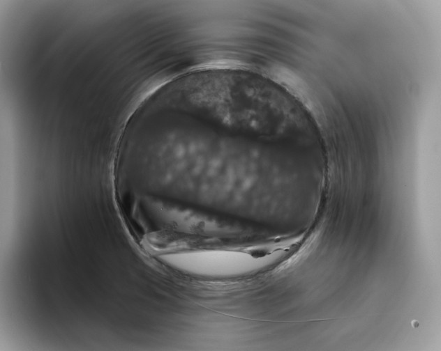 X0000094191425200711091152