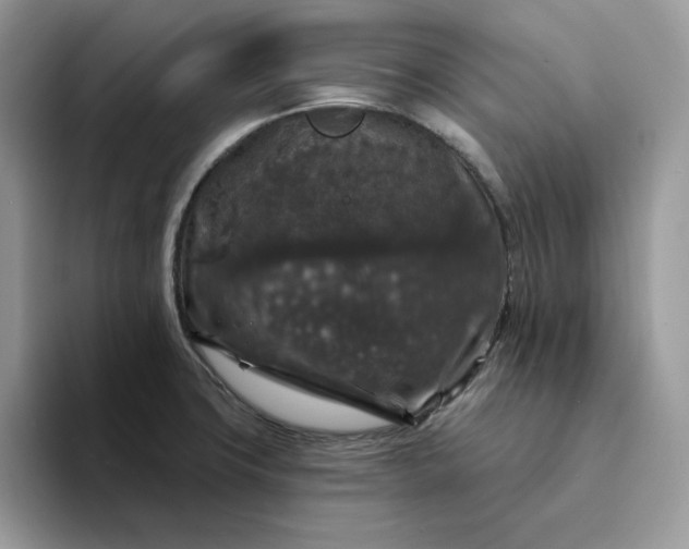 X0000094191427200711091152