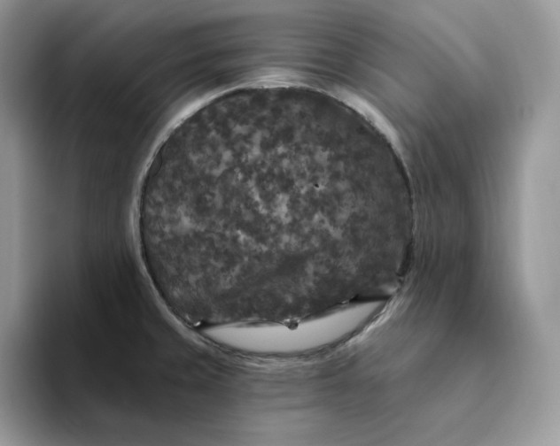 X0000094191429200711091152