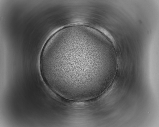 X0000094191431200711091152