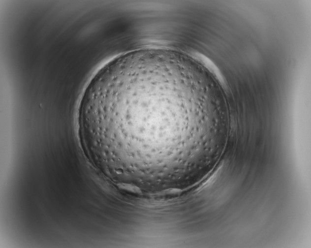 X0000094191435200711091153