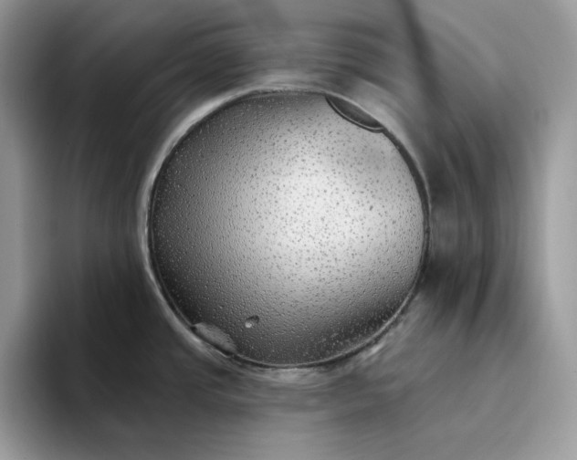 X0000094191437200711091153