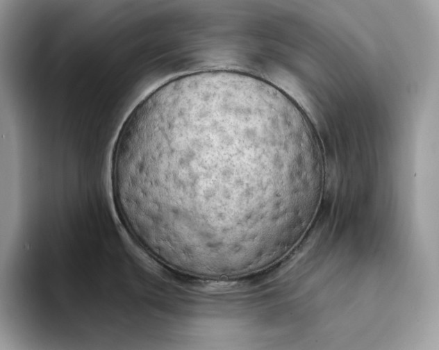 X0000094191439200711091153