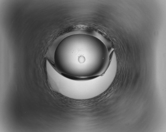 X0000094191441200711091152