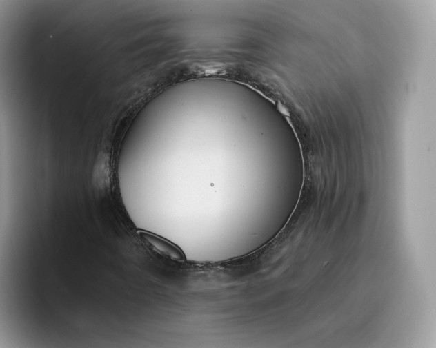 X0000094191442200711091152