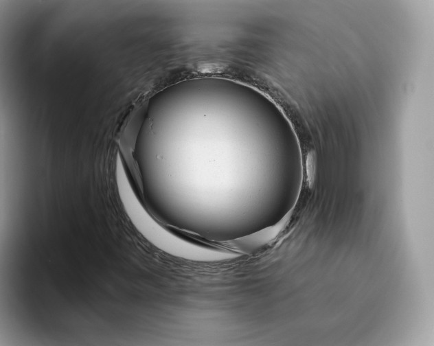 X0000094191443200711091152