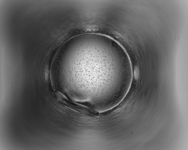 X0000094191444200711091152