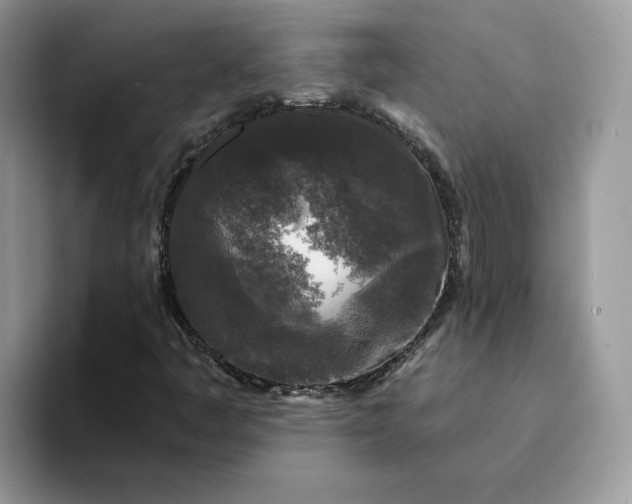 X0000094191445200711091152