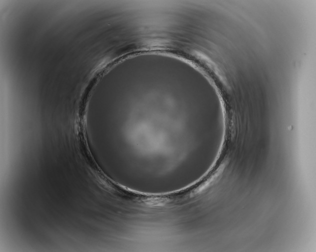 X0000094191449200711091152