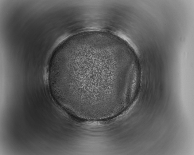 X0000094191450200711091152