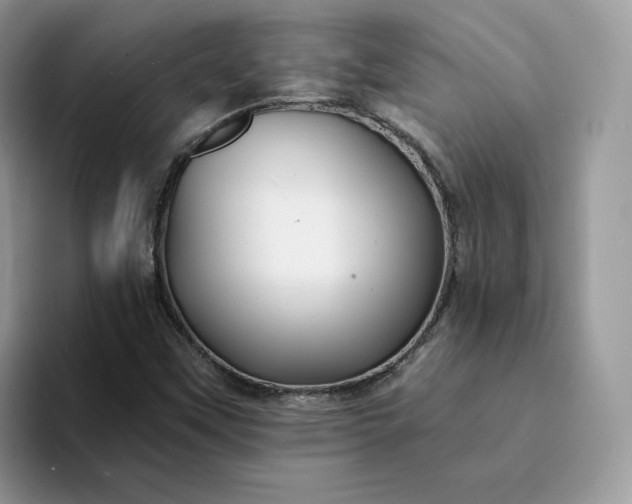 X0000094191451200711091152