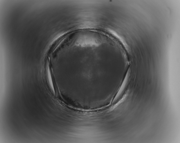 X0000094191453200711091152