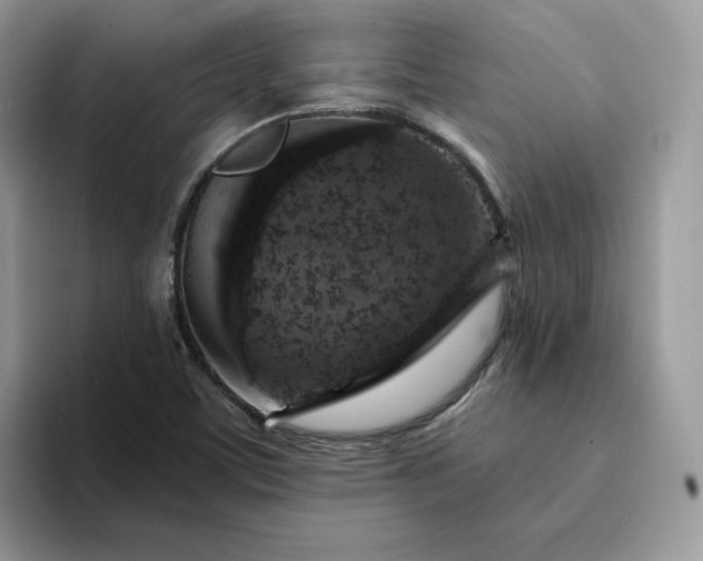 X0000094191459200711091152