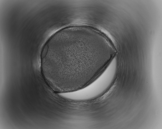 X0000094191461200711091152