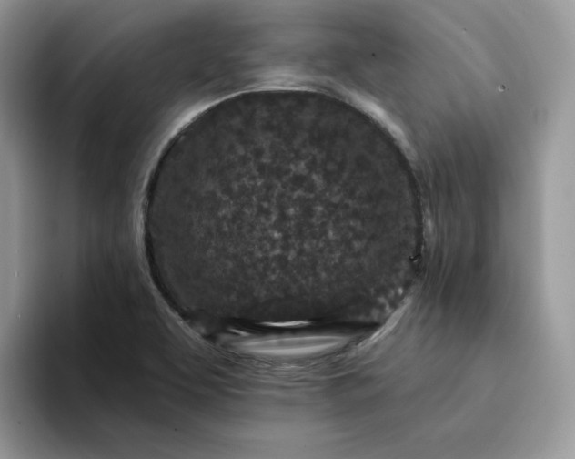 X0000094191463200711091152