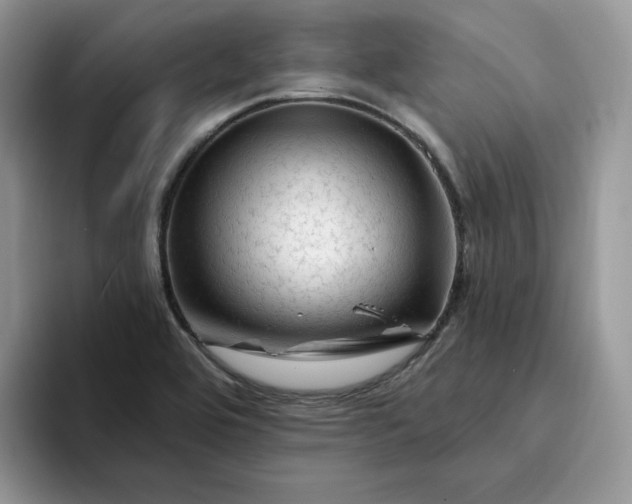 X0000094191464200711091152