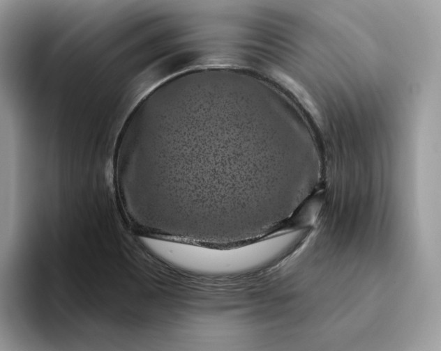 X0000094191465200711091152