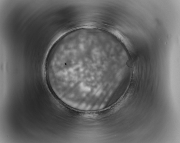 X0000094191466200711091152