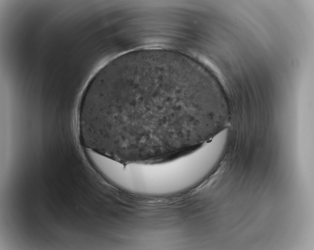 X0000094191467200711091152