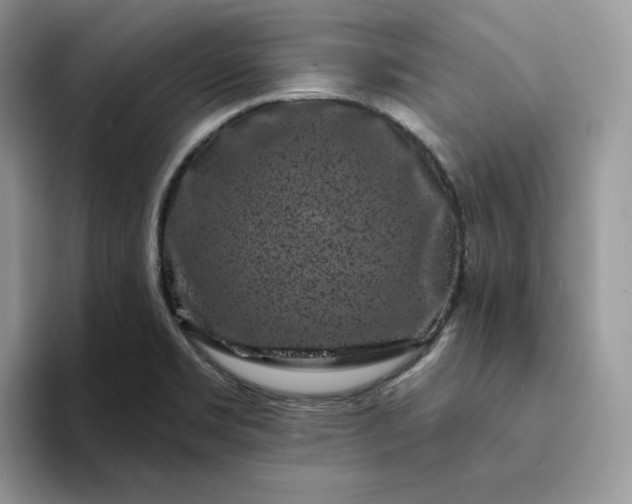 X0000094191469200711091152