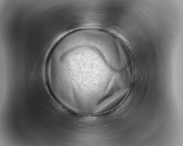 X0000094191470200711091152