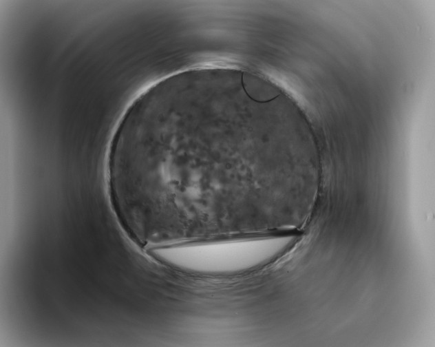 X0000094191471200711091152