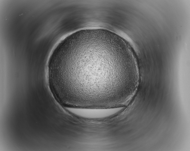 X0000094191472200711091152