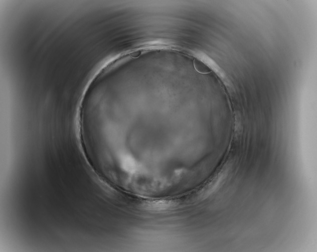 X0000094191474200711091152