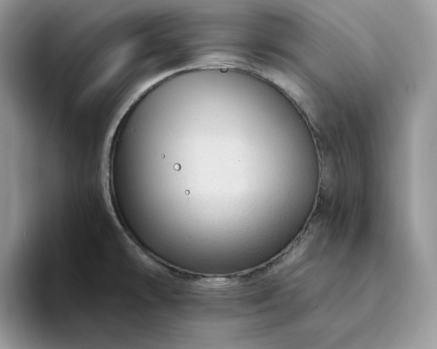 X0000094191478200711091152