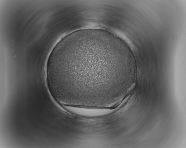 X0000094191479200711091152