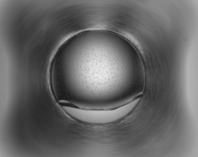 X0000094191480200711091152