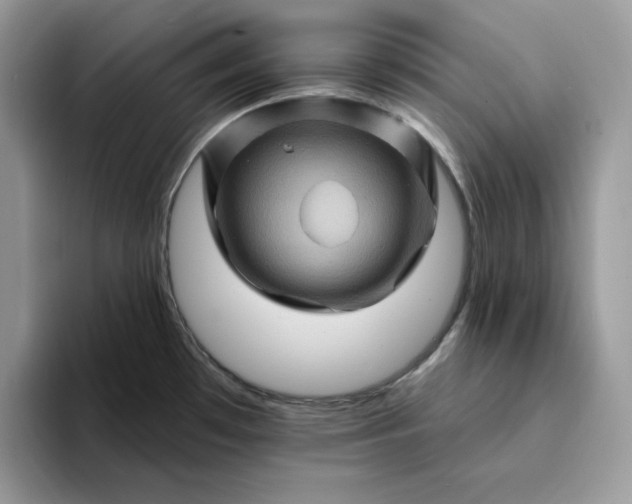 X0000094191481200711091152