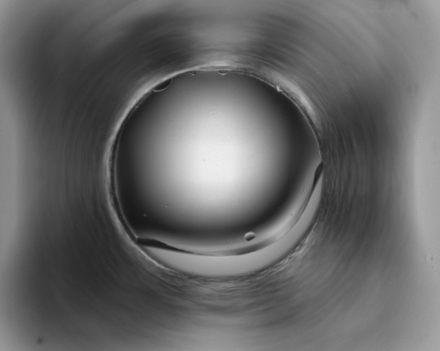 X0000094191483200711091152