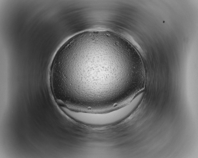 X0000094191484200711091152