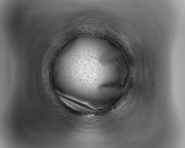 X0000094191489200711091151