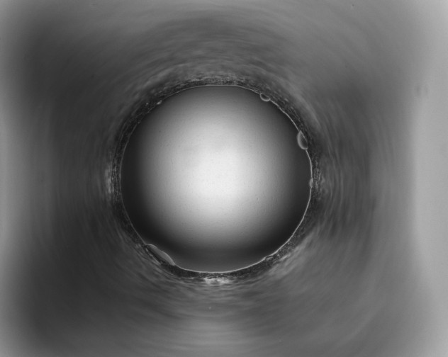 X0000094191490200711091151