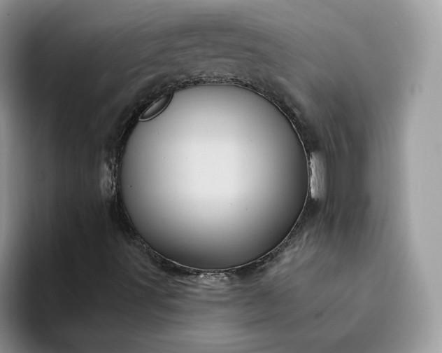 X0000094191491200711091151