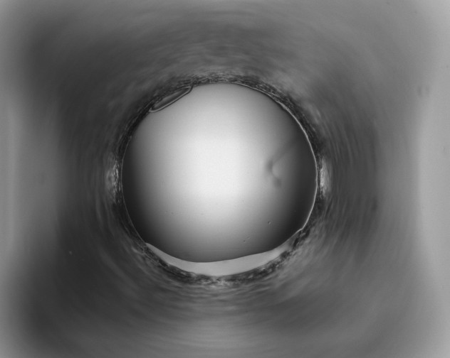 X0000094191492200711091151