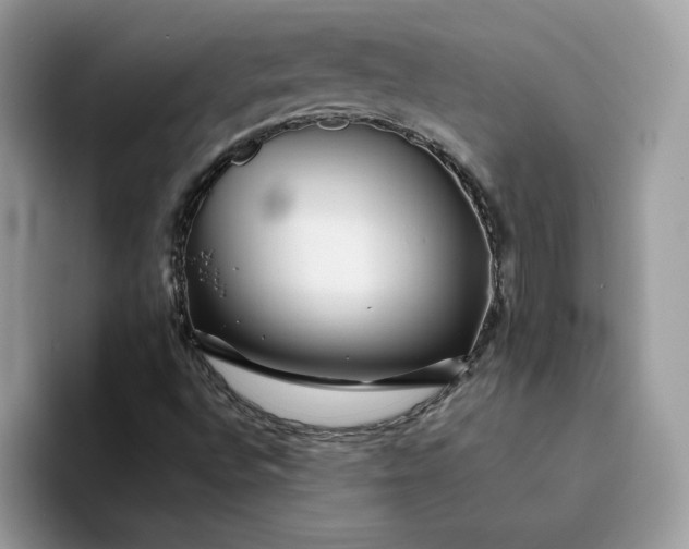 X0000094191496200711091151