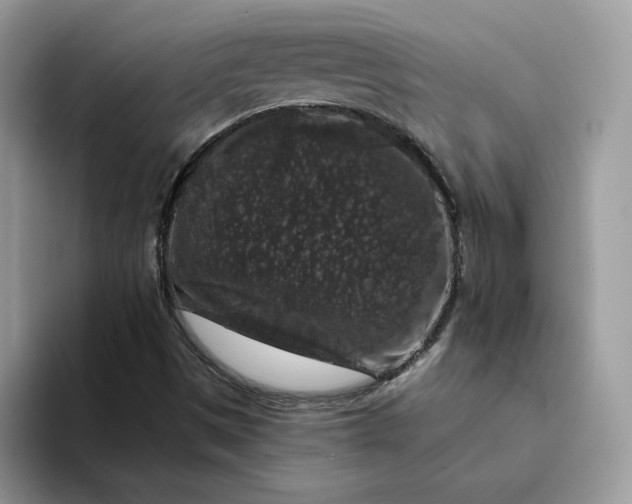 X0000094191497200711091151