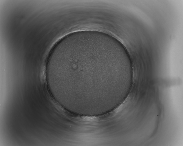 X0000094191498200711091151