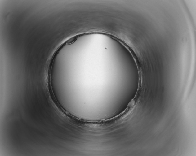 X0000094191500200711091151