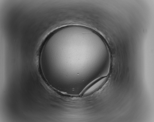 X0000094191503200711091151