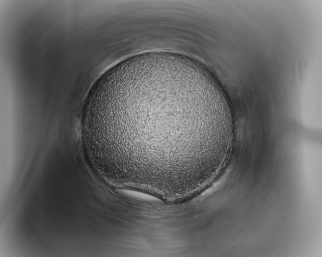 X0000094191505200711091151