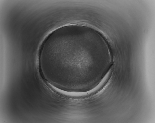 X0000094191506200711091151